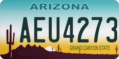 AZ license plate AEU4273