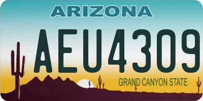 AZ license plate AEU4309