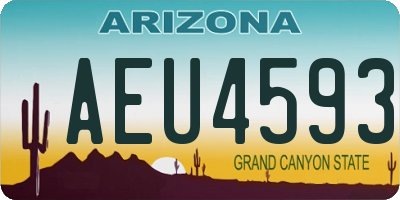 AZ license plate AEU4593