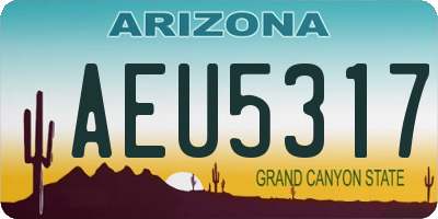 AZ license plate AEU5317