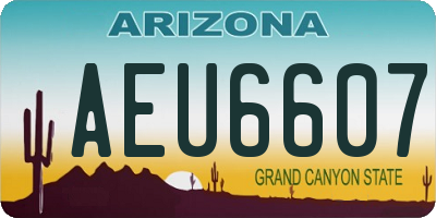 AZ license plate AEU6607