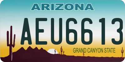 AZ license plate AEU6613