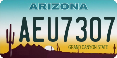 AZ license plate AEU7307