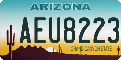 AZ license plate AEU8223