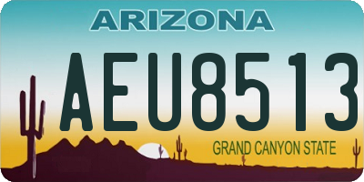 AZ license plate AEU8513
