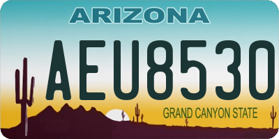 AZ license plate AEU8530