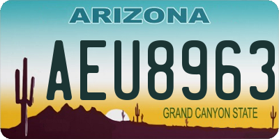 AZ license plate AEU8963