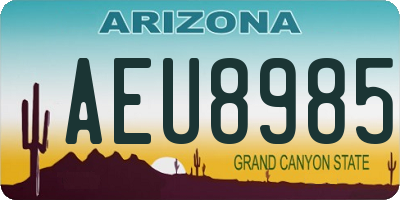 AZ license plate AEU8985