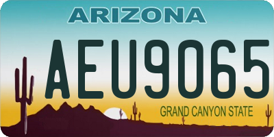 AZ license plate AEU9065