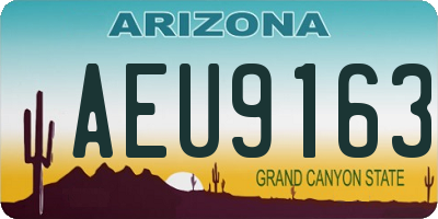 AZ license plate AEU9163