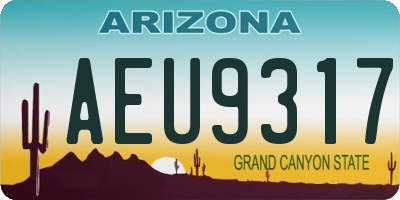 AZ license plate AEU9317