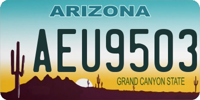 AZ license plate AEU9503