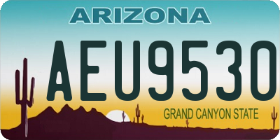 AZ license plate AEU9530