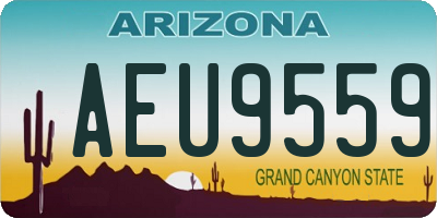 AZ license plate AEU9559