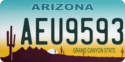 AZ license plate AEU9593