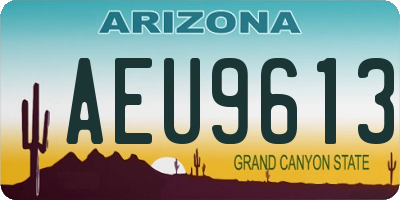 AZ license plate AEU9613