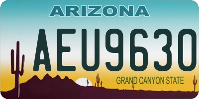 AZ license plate AEU9630