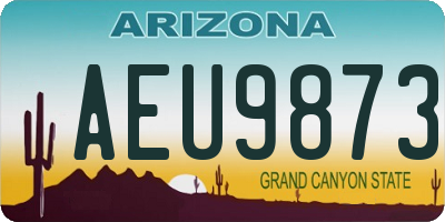 AZ license plate AEU9873