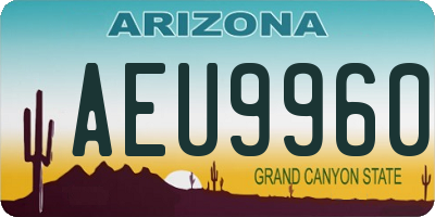 AZ license plate AEU9960