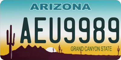 AZ license plate AEU9989