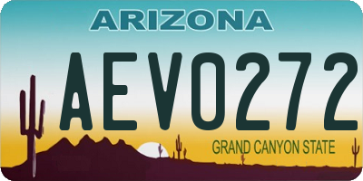 AZ license plate AEV0272