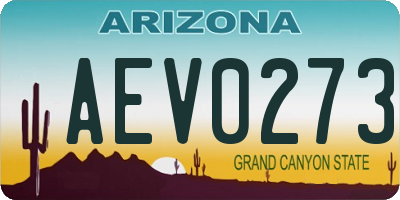 AZ license plate AEV0273