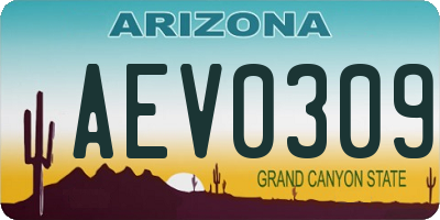 AZ license plate AEV0309