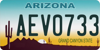AZ license plate AEV0733
