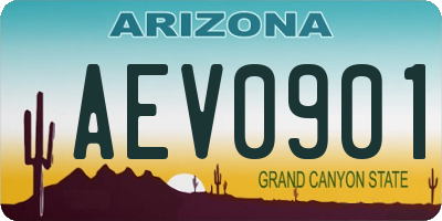 AZ license plate AEV0901