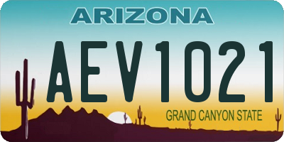 AZ license plate AEV1021
