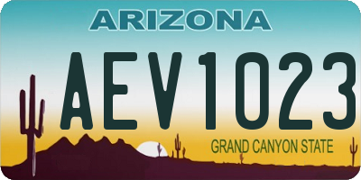 AZ license plate AEV1023