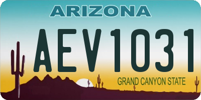 AZ license plate AEV1031