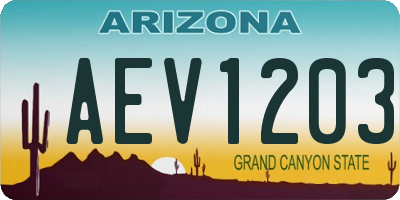 AZ license plate AEV1203