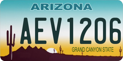AZ license plate AEV1206