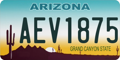 AZ license plate AEV1875