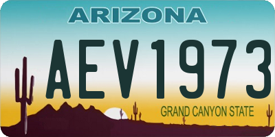 AZ license plate AEV1973