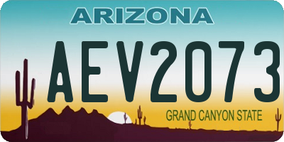 AZ license plate AEV2073