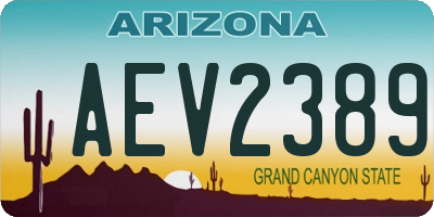 AZ license plate AEV2389
