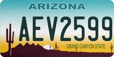 AZ license plate AEV2599