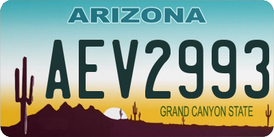 AZ license plate AEV2993