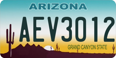 AZ license plate AEV3012