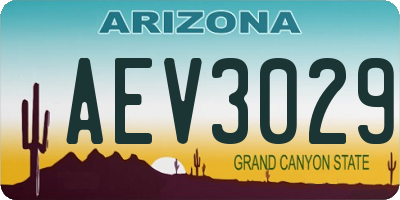 AZ license plate AEV3029