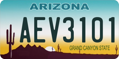 AZ license plate AEV3101