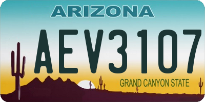 AZ license plate AEV3107