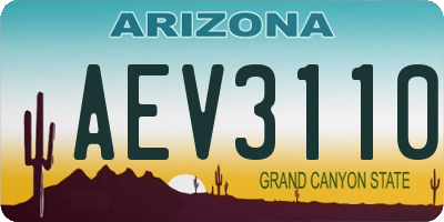 AZ license plate AEV3110