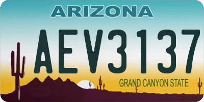 AZ license plate AEV3137