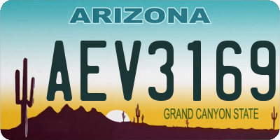 AZ license plate AEV3169