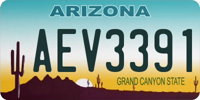 AZ license plate AEV3391