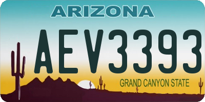 AZ license plate AEV3393