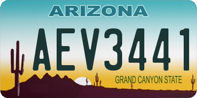 AZ license plate AEV3441